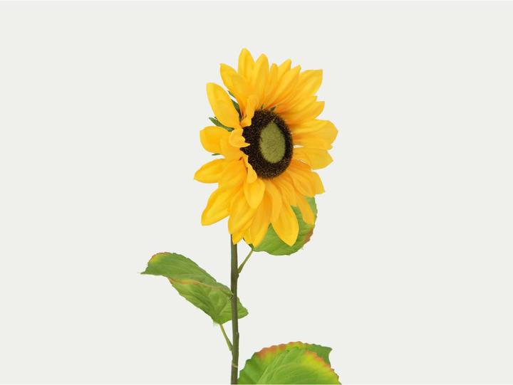 Actual product image Europalms Sunflower (70 cm)