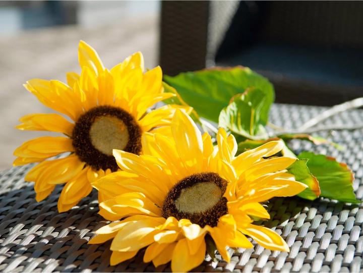 Actual product image Europalms Sunflower (70 cm)