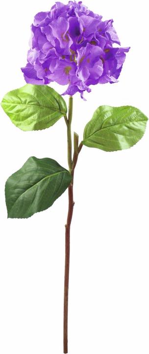 Actual product image Europalms Hydrangea branch (76 cm)