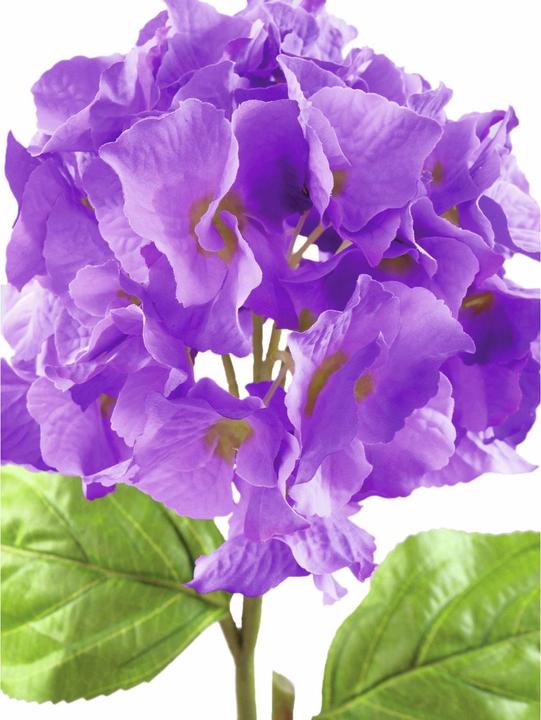 Actual product image Europalms Hydrangea branch (76 cm)