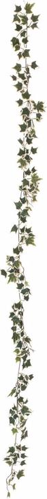 Europalms Holland Ivy Garland Classic (180 cm)