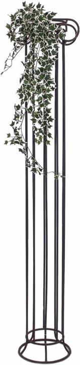 Actual product image Europalms Holland ivy barrier Classic (100 cm)