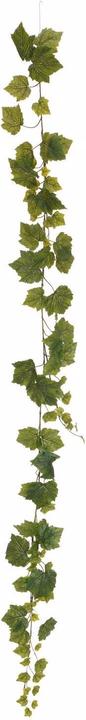 Actual product image Europalms Weingirlande Premium (180 cm)