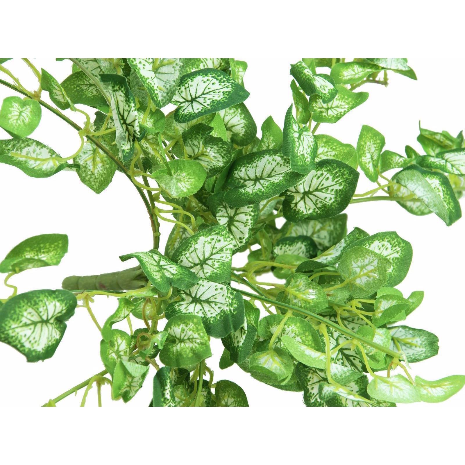 Thumbnail - Europalms, Kunstpflanzen, Nephthytisbusch (50 cm)