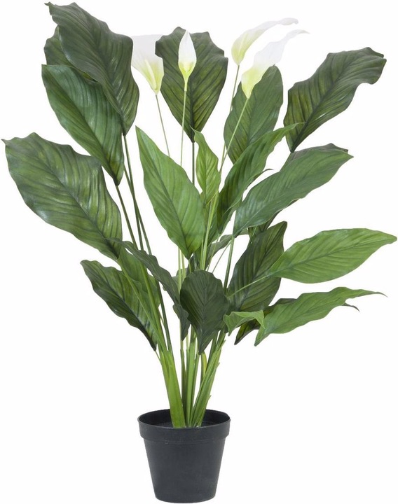 Image du produit Europalms Spathiphyllum deluxe, artificiel, 83cm (83 cm)