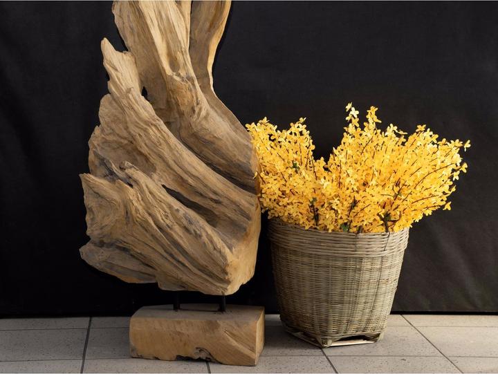 Productafbeelding Europalms Forsythiastruik (60 cm)