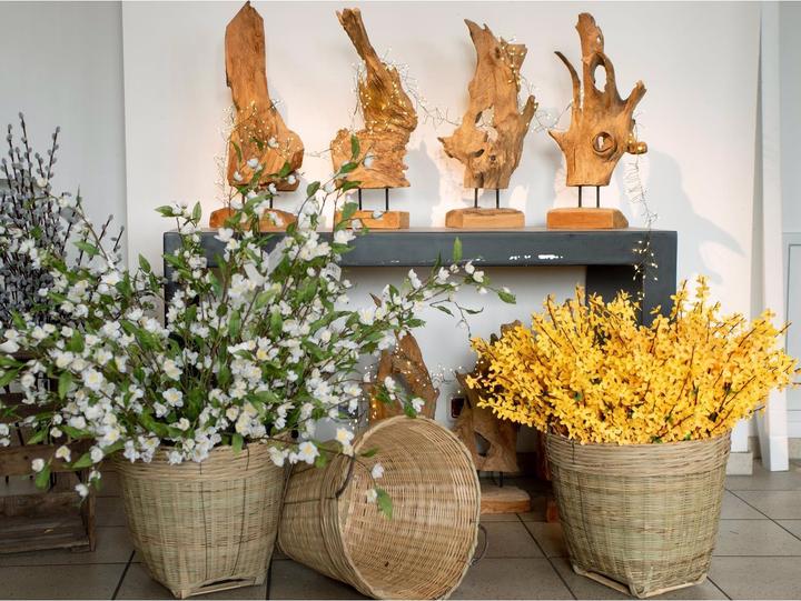Productafbeelding Europalms Forsythiastruik (60 cm)