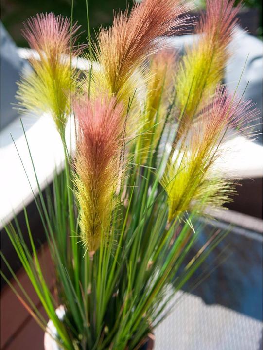 Actual product image Europalms Feather grass (90 cm)