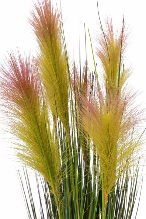 Actual product image Europalms Feather grass (90 cm)
