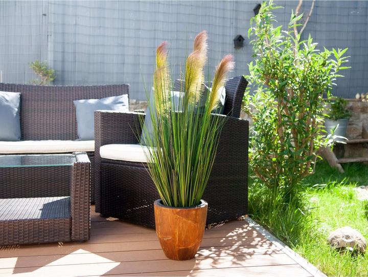 Actual product image Europalms Feather grass (90 cm)