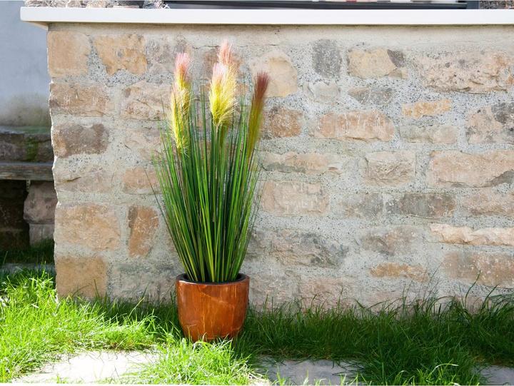 Actual product image Europalms Feather grass (90 cm)