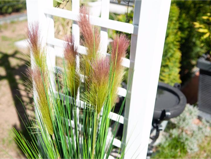 Actual product image Europalms Feather grass (90 cm)