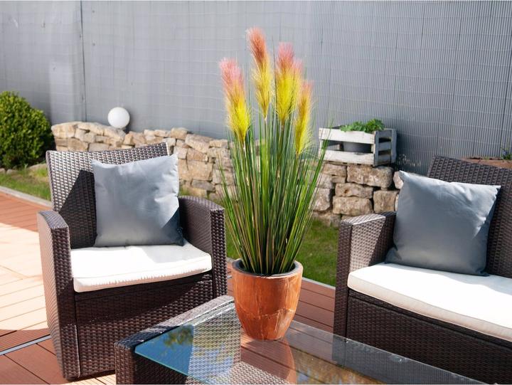 Actual product image Europalms Feather grass (90 cm)