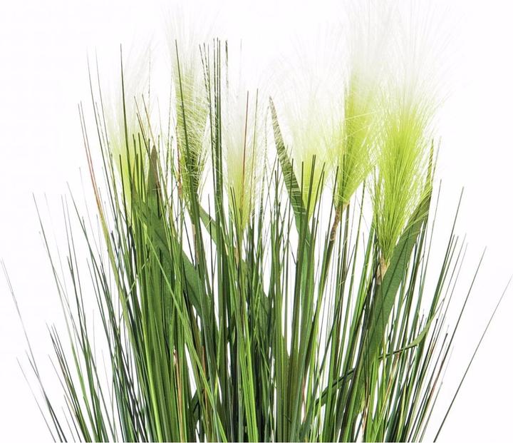 Actual product image Europalms Feather grass (60 cm)