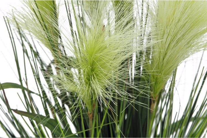 Actual product image Europalms Feather grass (60 cm)