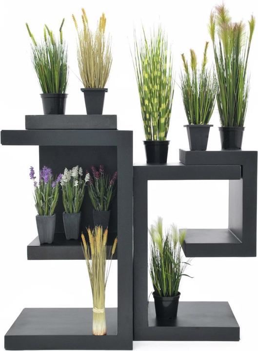 Actual product image Europalms Feather grass (60 cm)