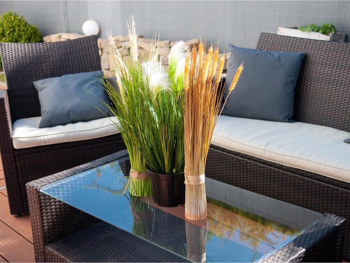 Actual product image Europalms Feather grass (60 cm)