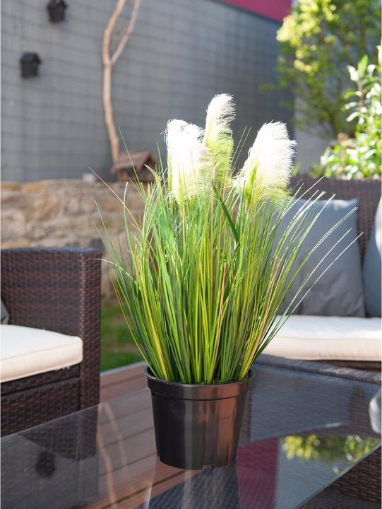 Actual product image Europalms Feather grass (60 cm)