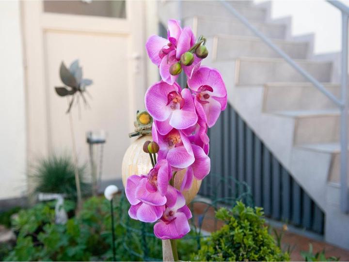 Produktbild Europalms Orchideenzweig (100 cm)