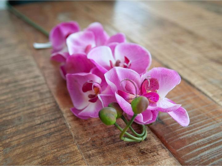 Produktbild Europalms Orchideenzweig (100 cm)