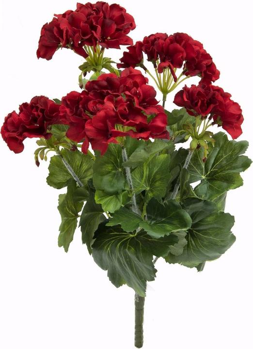 Actual product image Europalms geranium (42 cm)