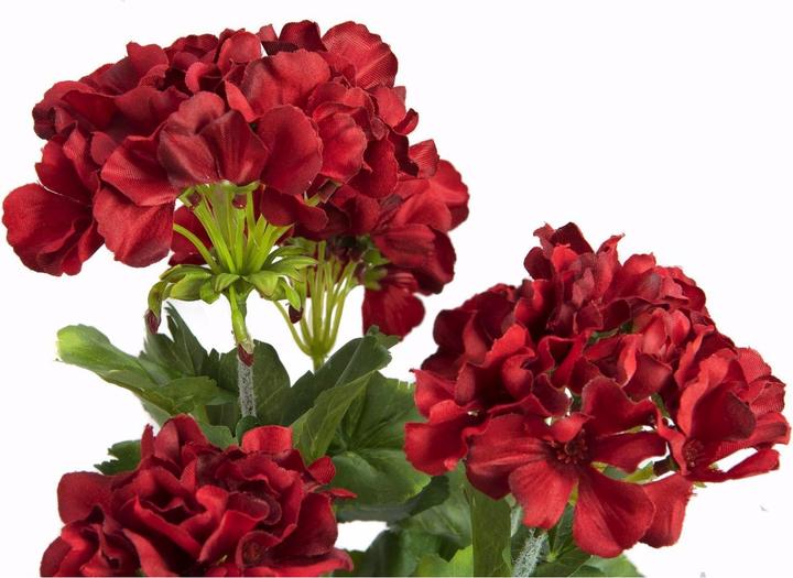 Actual product image Europalms geranium (42 cm)