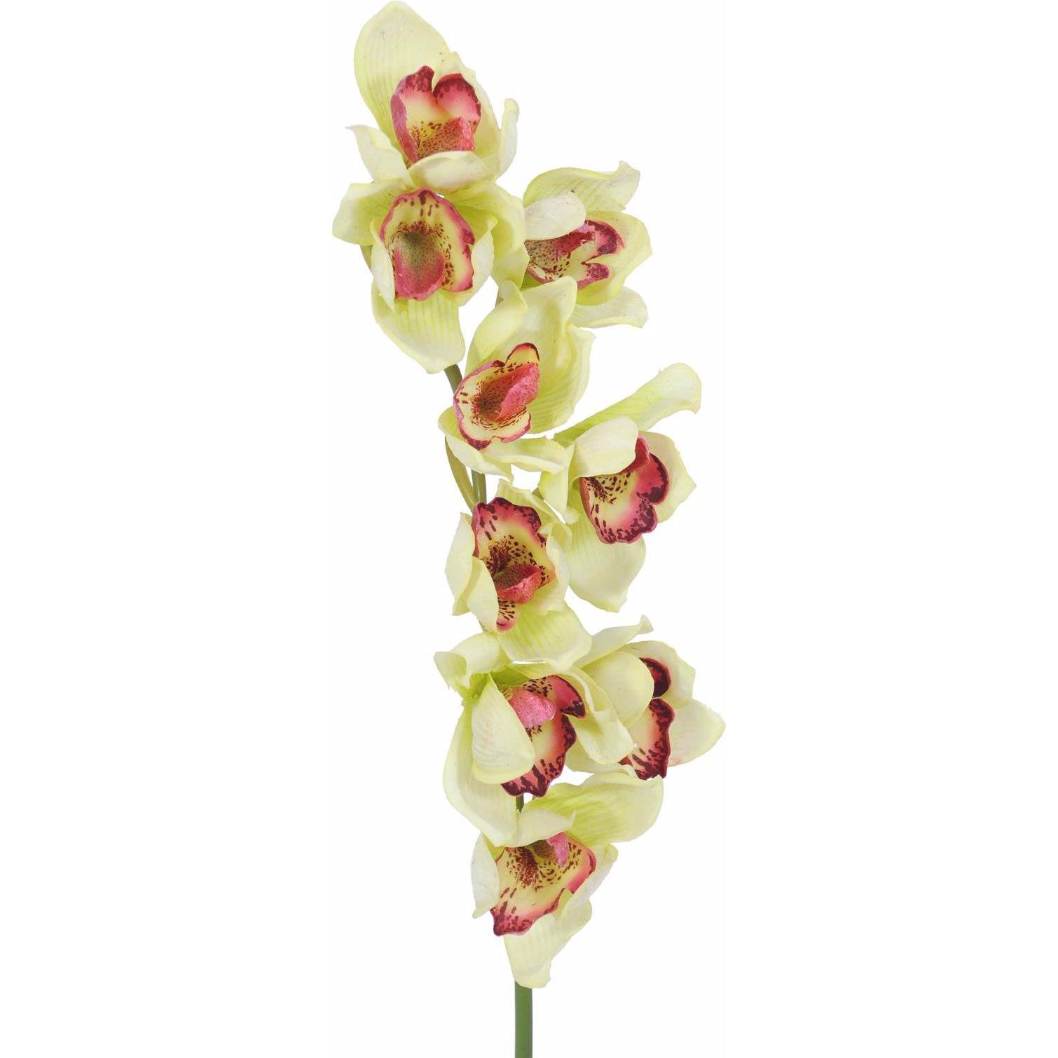 Thumbnail - Europalms, Kunstpflanzen, Cymbidiumzweig (90 cm)