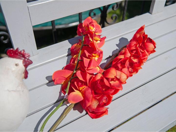 Produktbild Europalms Cymbidiumzweig (90 cm)