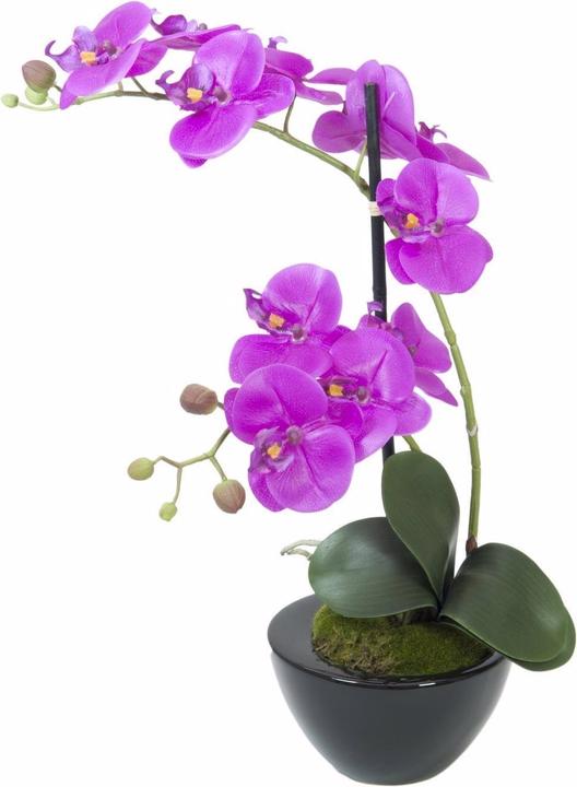 Europalms Orchideen-Arrangement 4, künstlich