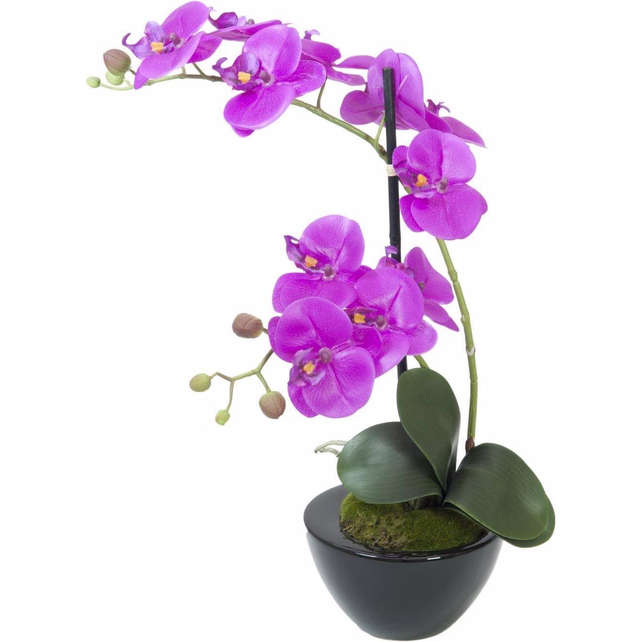 Europalms, Kunstpflanzen, Orchideen-Arrangement 4, künstlich
