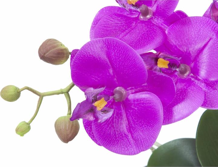 Produktbild Europalms Orchideen-Arrangement 4, künstlich