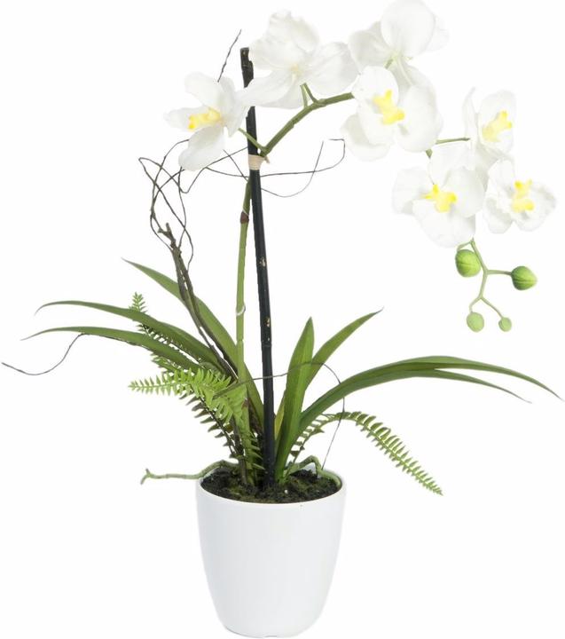 Europalms WD-40 400 ml white lithium flavour (62 cm)