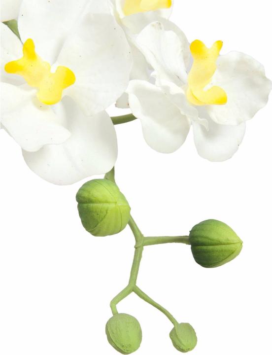 Actual product image Europalms WD-40 400 ml white lithium flavour (62 cm)