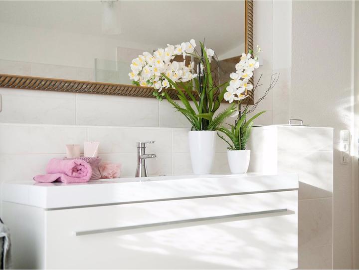 Actual product image Europalms WD-40 400 ml white lithium flavour (62 cm)