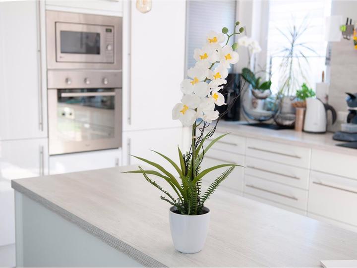 Actual product image Europalms WD-40 400 ml white lithium flavour (62 cm)