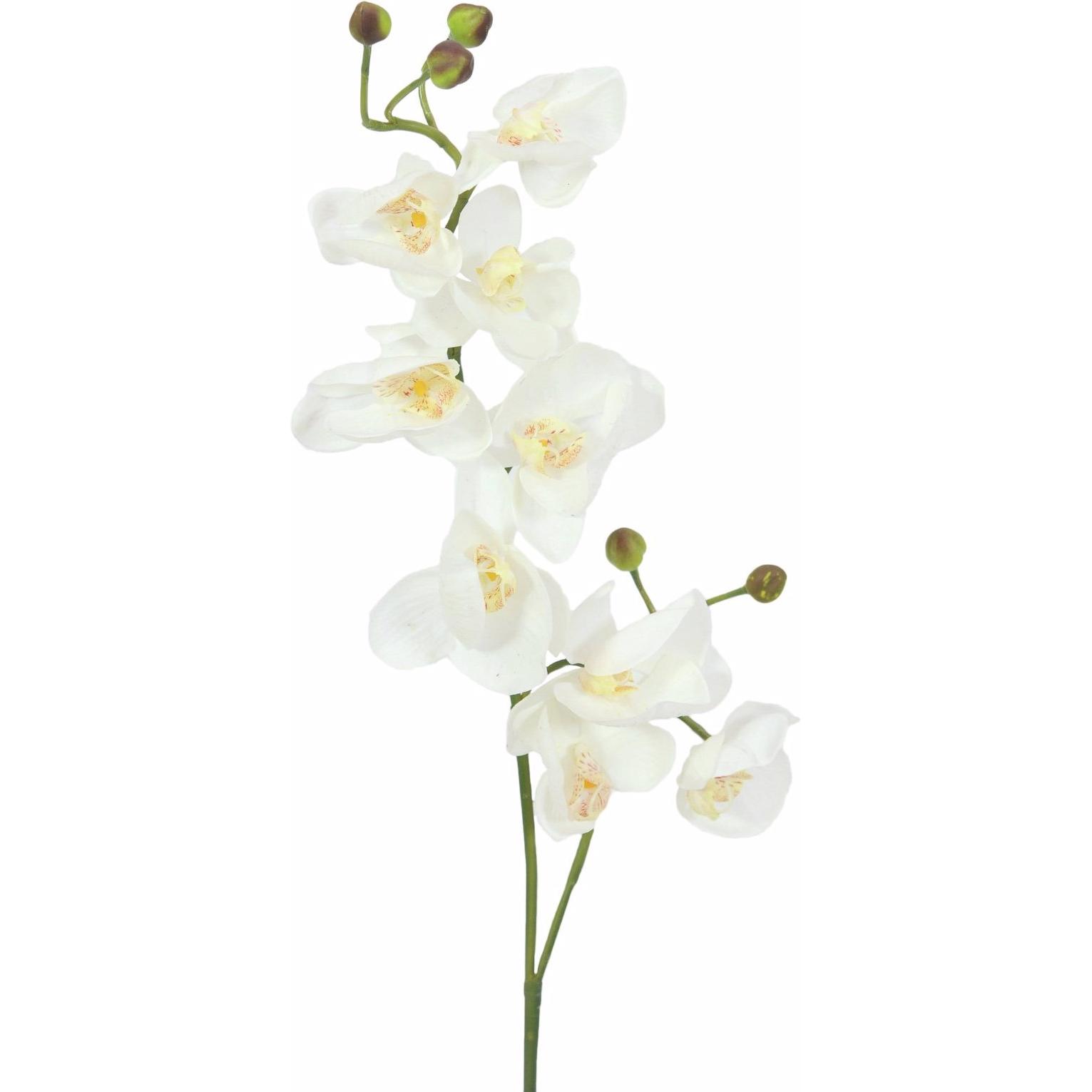 Thumbnail - Europalms, Kunstpflanzen, Orchideenzweig (100 cm)