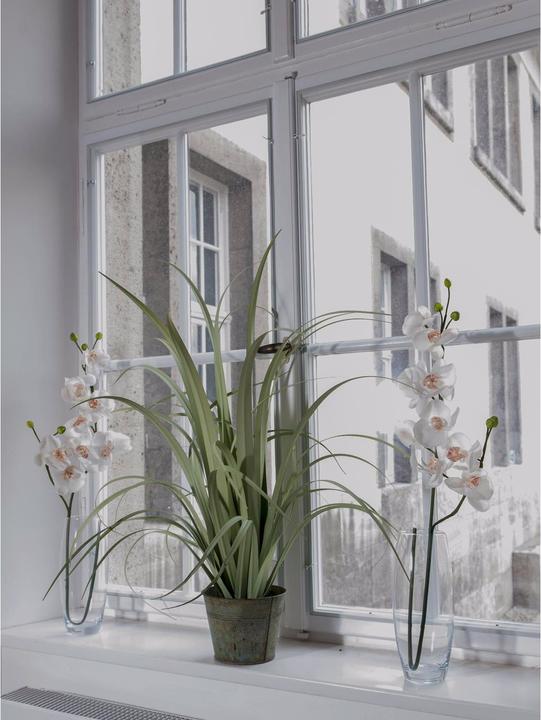 Produktbild Europalms Orchideenzweig (100 cm)