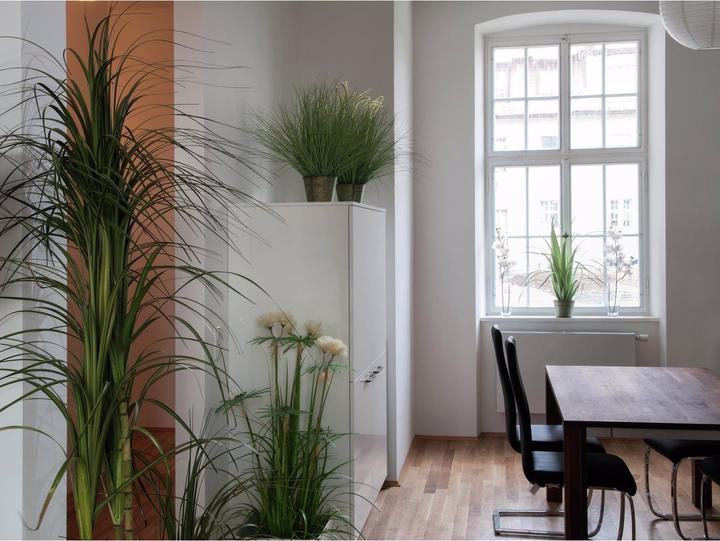 Produktbild Europalms Orchideenzweig (100 cm)