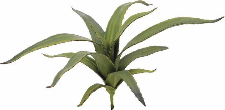 Produktbild Europalms Aloe (66 cm)