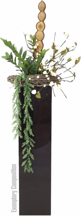 Actual product image Europalms Zamifolia (70 cm)