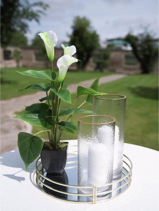 Image du produit Europalms Calla mini (43 cm)