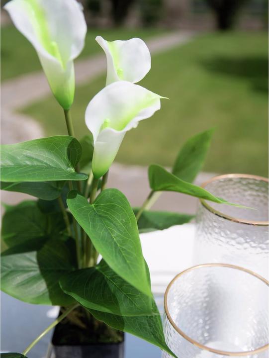 Image du produit Europalms Calla mini (43 cm)