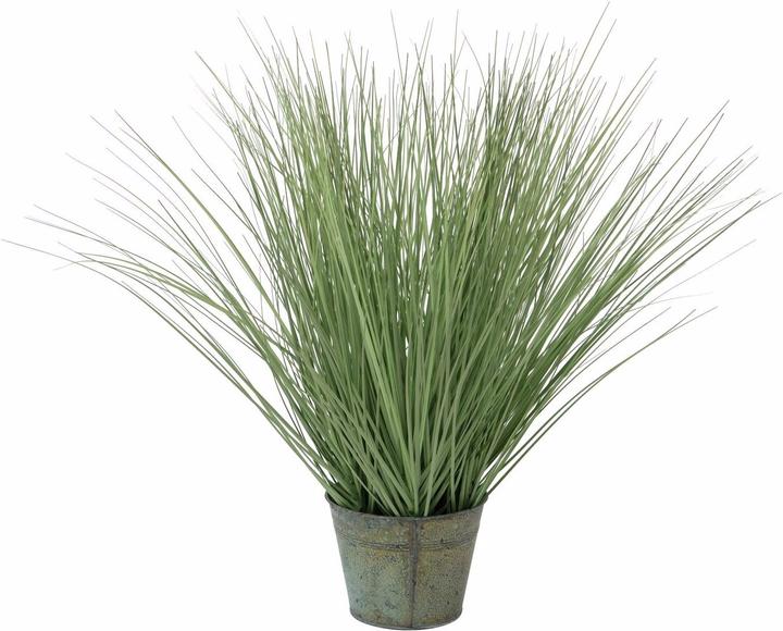 Actual product image Europalms Ornamental grass (65 cm)
