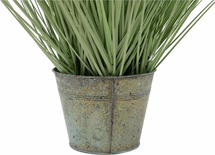 Actual product image Europalms Ornamental grass (65 cm)