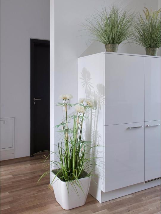 Actual product image Europalms Ornamental grass (70 cm)