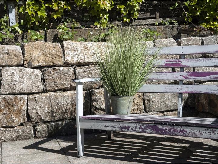 Actual product image Europalms Ornamental grass (65 cm)