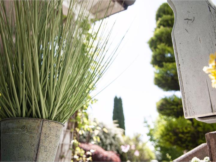 Actual product image Europalms Ornamental grass (65 cm)