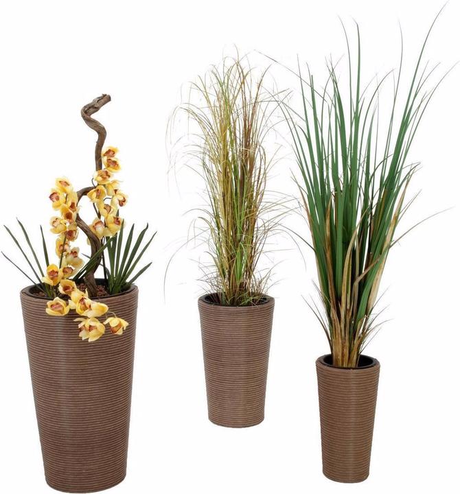 Produktbild Europalms Cymbidiumzweig (90 cm)