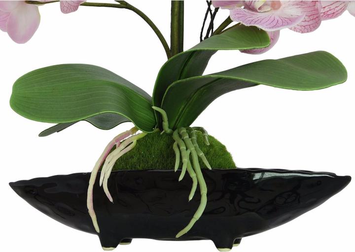 Productafbeelding Europalms Orchideeën Arrangement