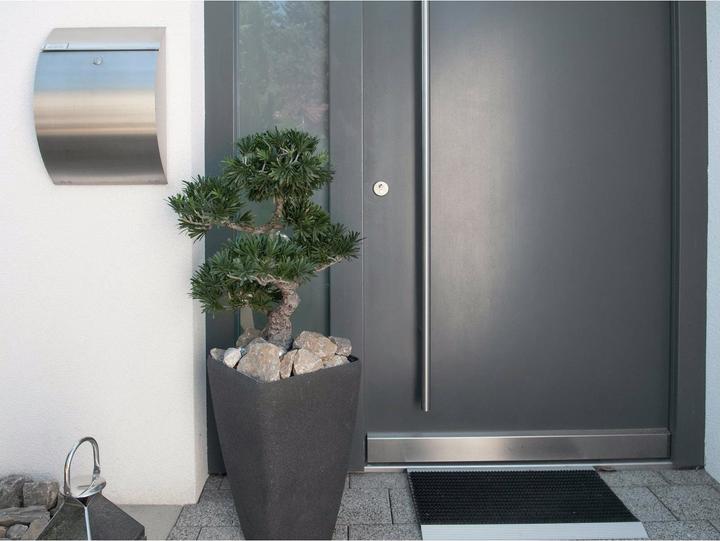 Immagine prodotto Europalms Bonsai Podocarpus (80 cm)